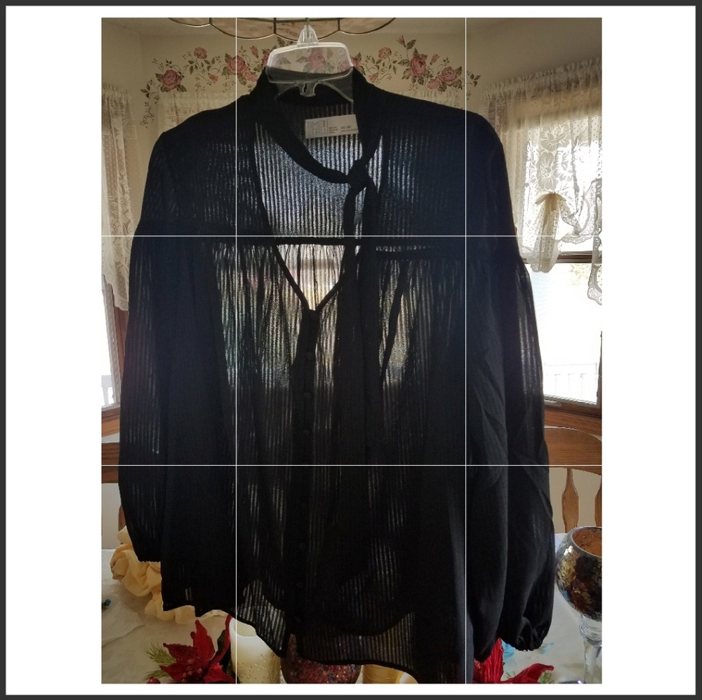 Top Bundle $25 ORDER BLACK SHEER Time & Tru SZ XXL